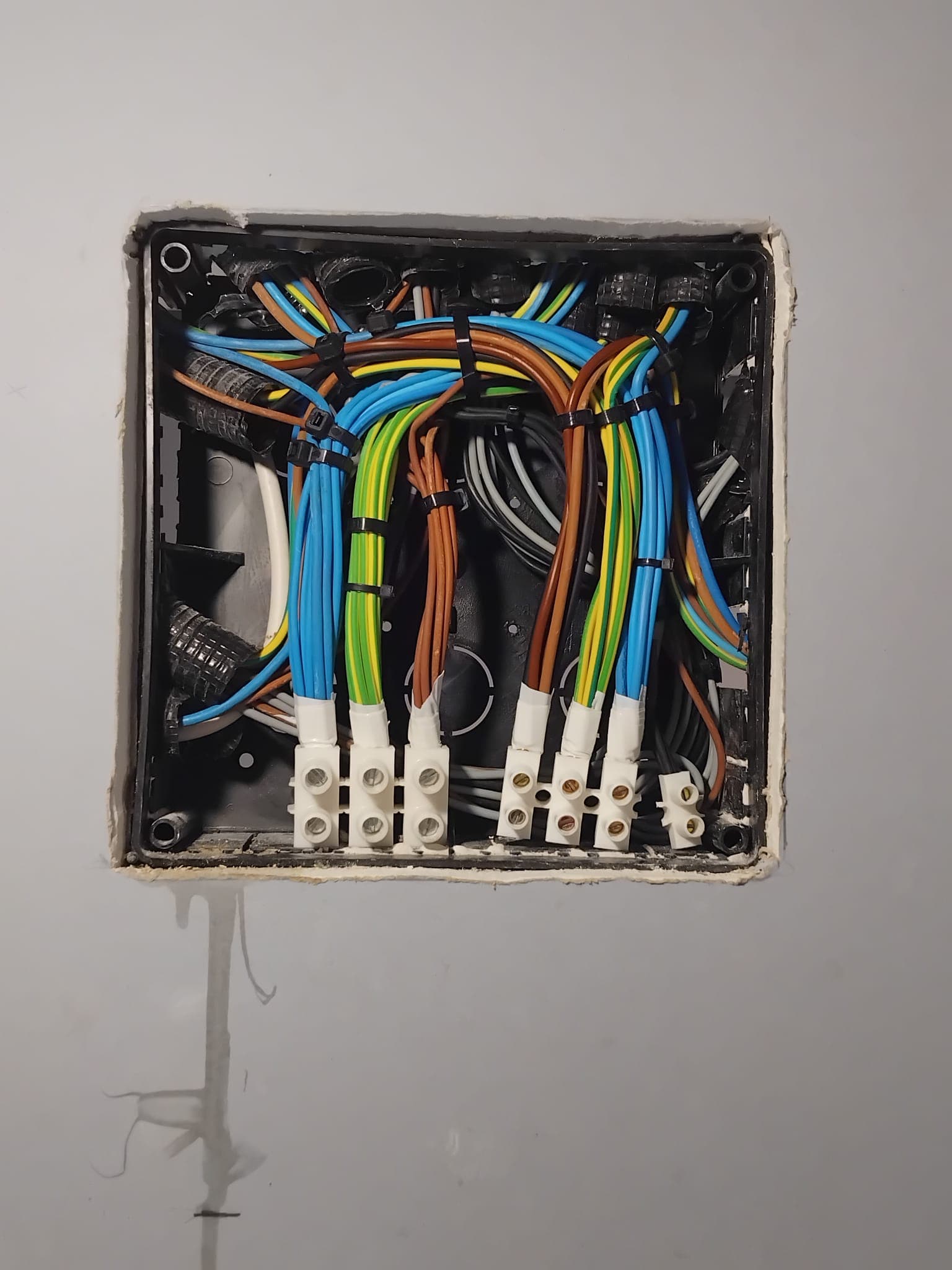 Caja de derivación con cableado organizado